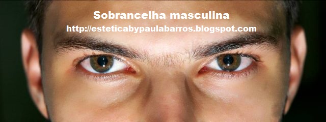 Comprar pastilhas um martelo Torah