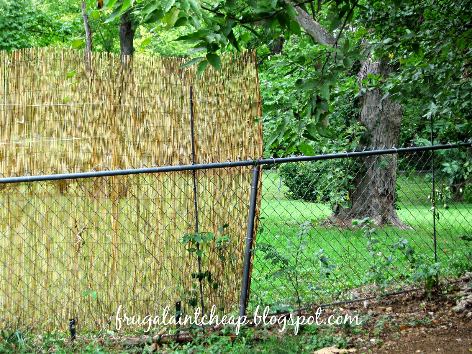 Frugal Ain't Cheap Chain Link Fence Project
