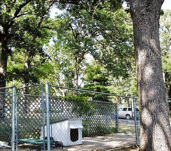 Yard and Garden Secrets Improve Dog Kennel Appearance