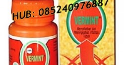SEHAT ITU NIKMAT: Khasiat Kapsul Vermint Dalam Mengobati ...
