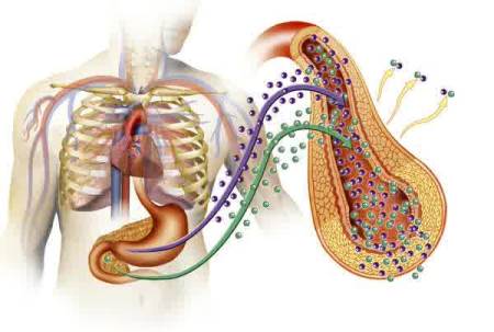 penyebab penyakit diabetes mellitus penyebab penyakit diabetes mellitus yang utama