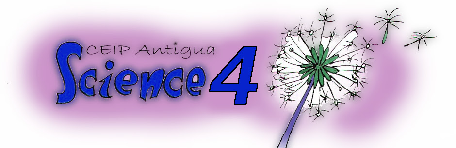 CEIP Antigua Science4