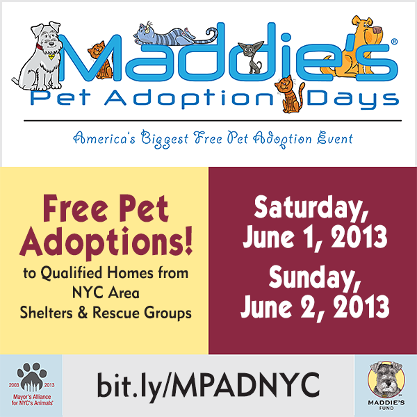 To Dog With Love Maddie's Pet Adoption Days Comes to NYC for Free Pet Adoption Weekend!