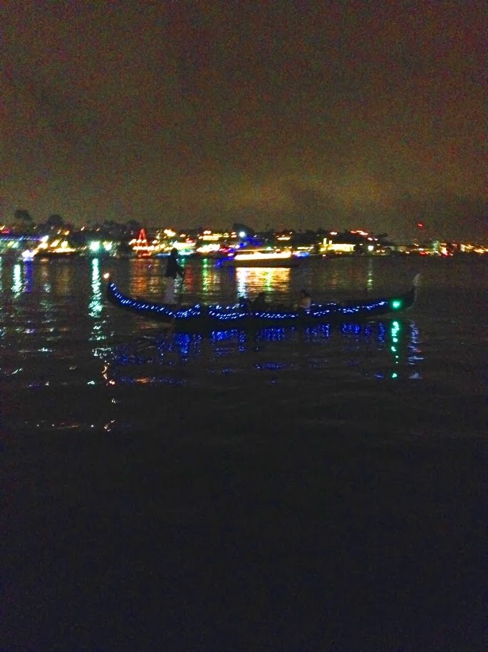 The Gondola Blog Solar Powered Christmas Lights