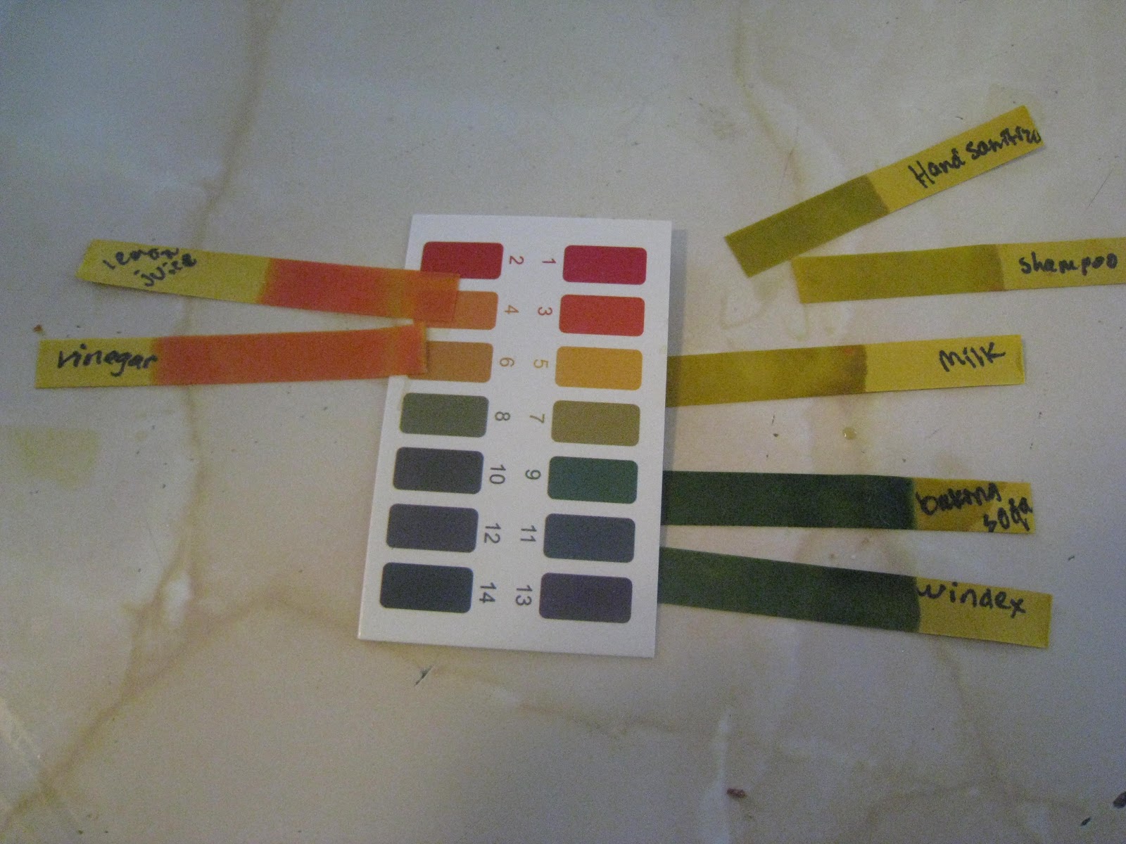 Cabbage Juice Science Experiment Teach Beside Me