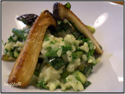 Cookbook of Colors: Hellgrün