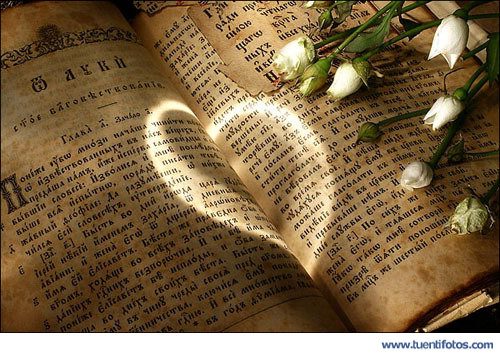 LIBRO AMOR libro amor: