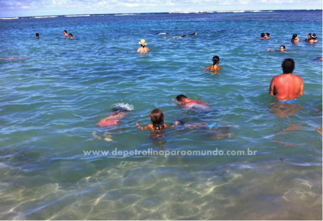 Viajar com família no nordeste do Brasil. Crianças em Maragogi, Porto de Galinhas, Nísia Floresta, Japaratinga Viajar com família no nordeste do Brasil. Crianças em Maragogi, Porto de Galinhas, Nísia Floresta, Japaratinga