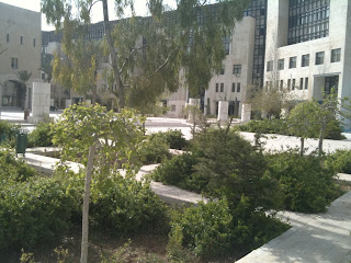 a courtyard with trees and bushes