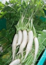 daikon radish fry stir makeovers menu