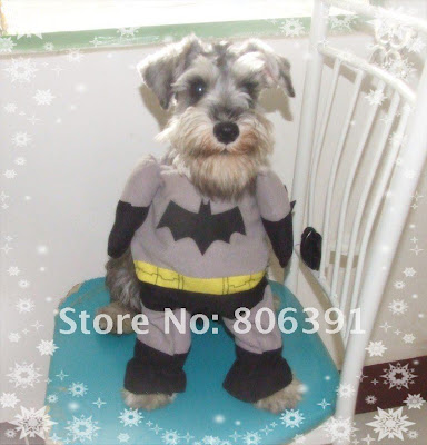 Funny DOG Pictures