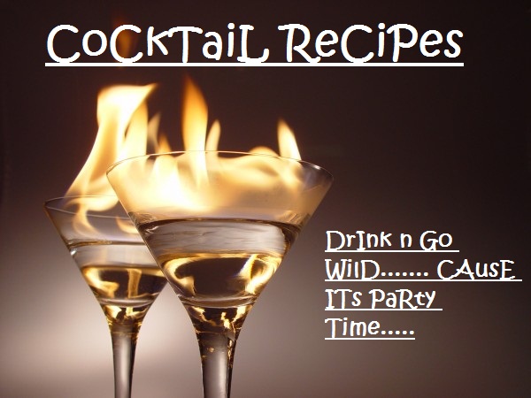 CoCkTaiL ReCiPes... DRiNk N Go WiLD....