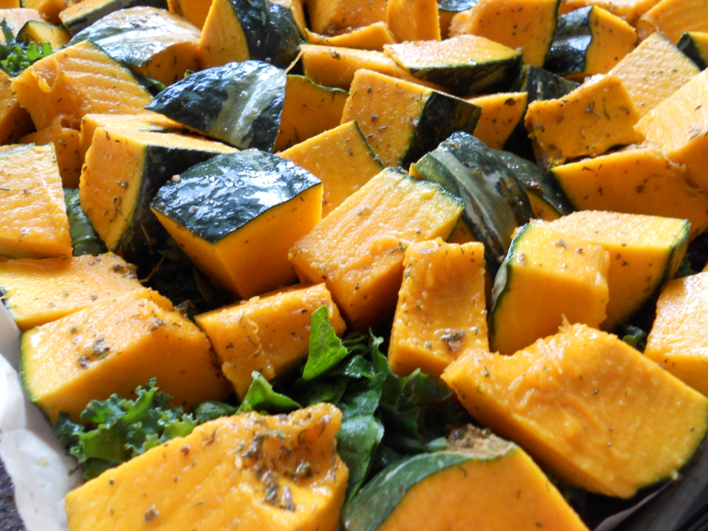 Snacking Squirrel Restocking My Squash Supply