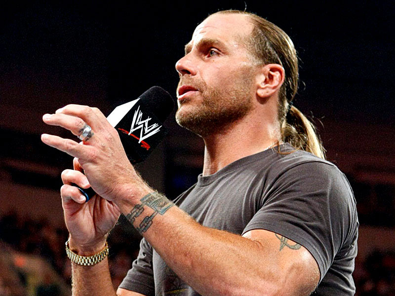 WWE WRESTLING CHAMPIONS WWE Shawn Michaels