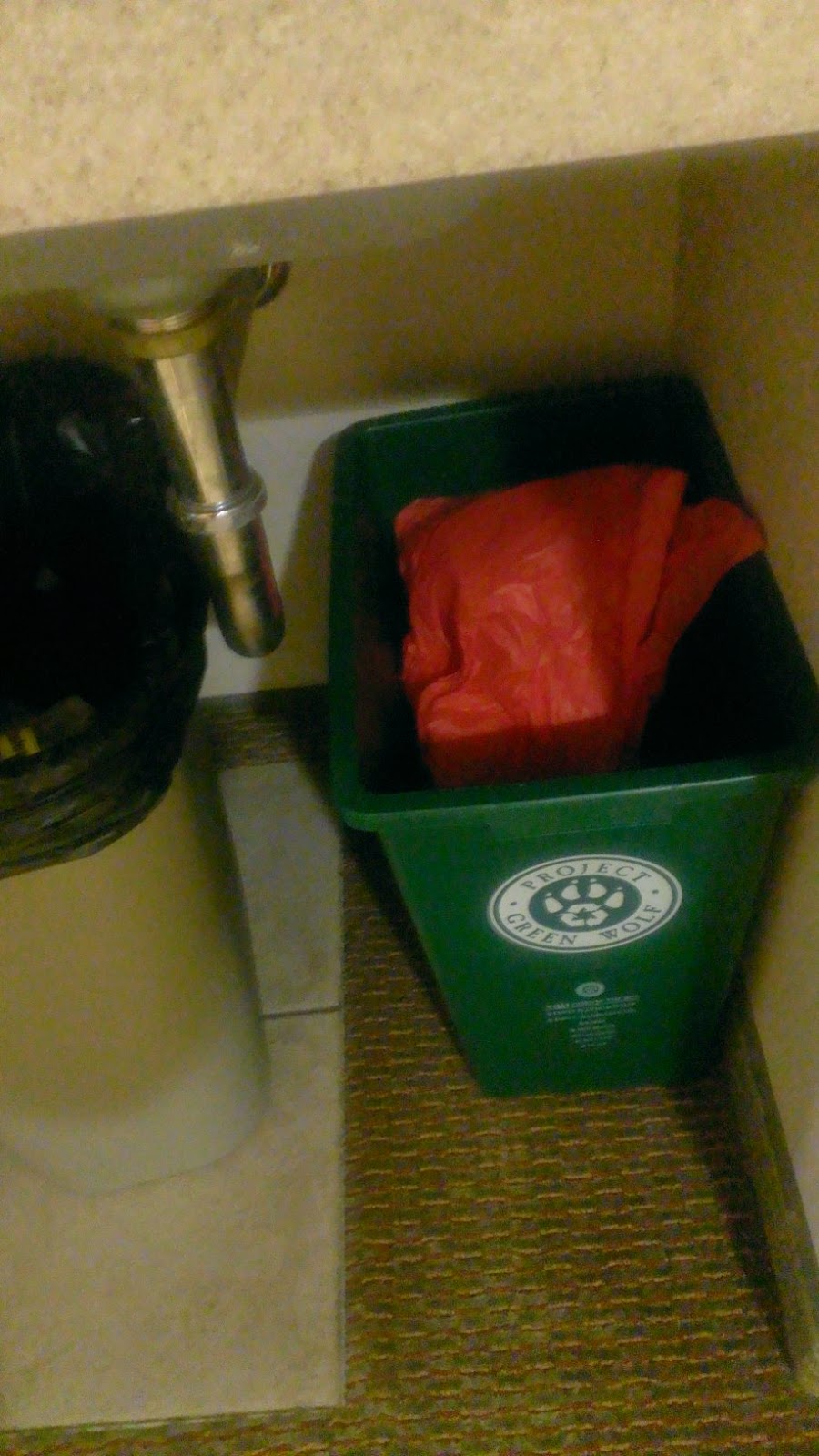 Green and Glassie Great Wolf Lodge Wisconsin Dells