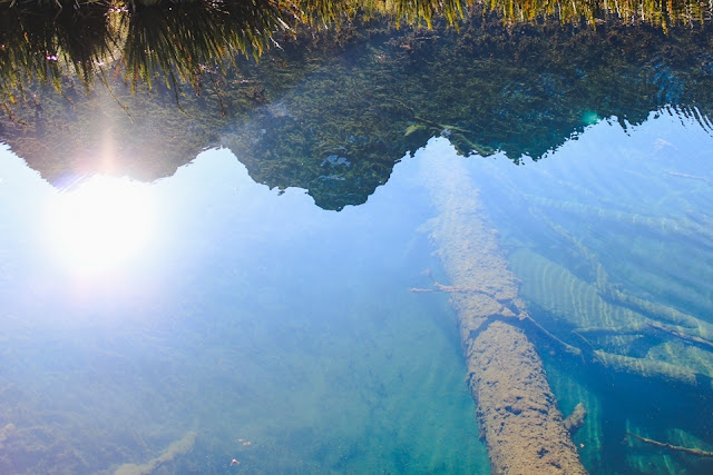 Mirror Lakes | the road to Milford Sound, Fiordland, New Zealand