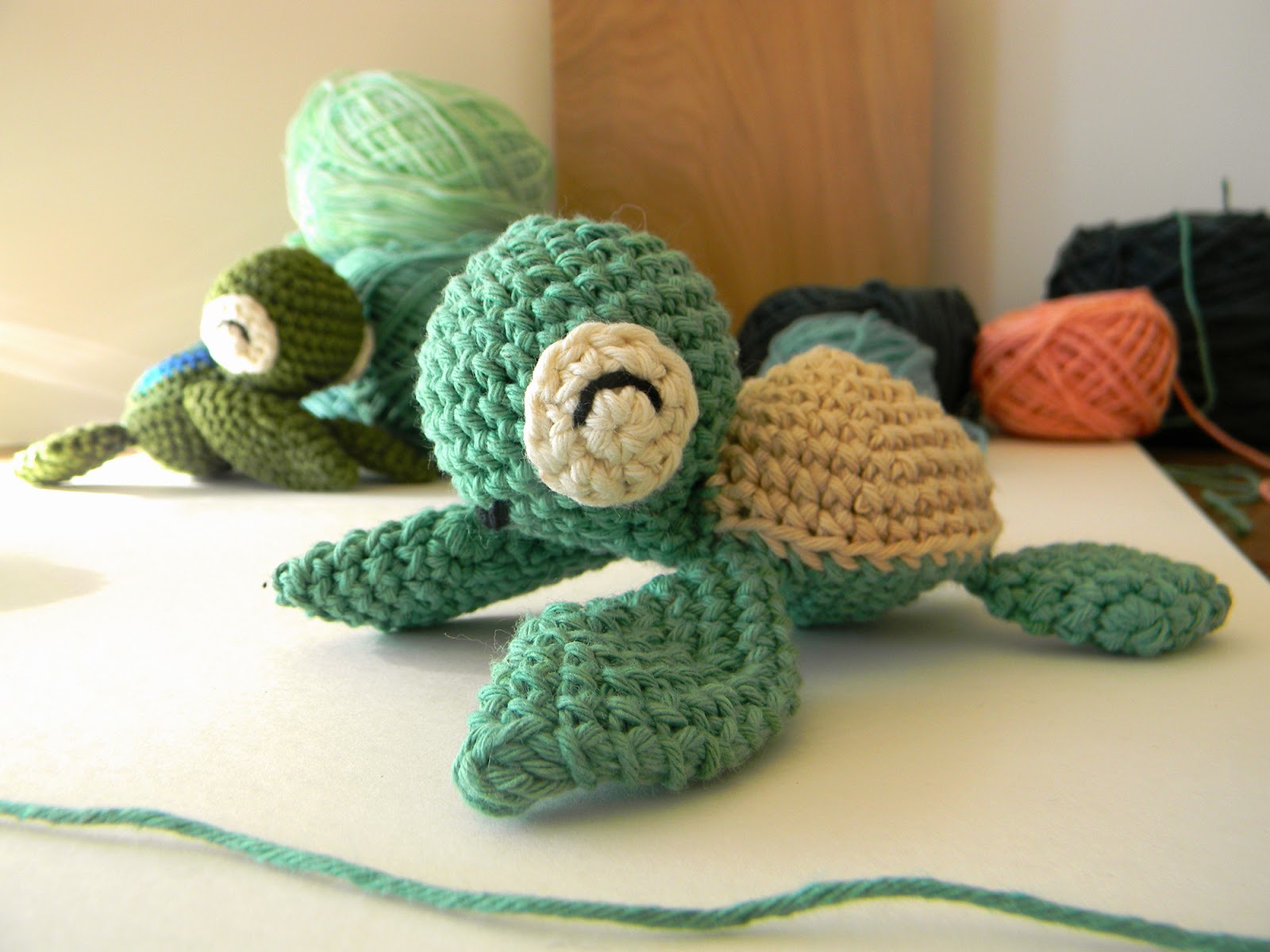 pica-pau: Steve (Zissou)