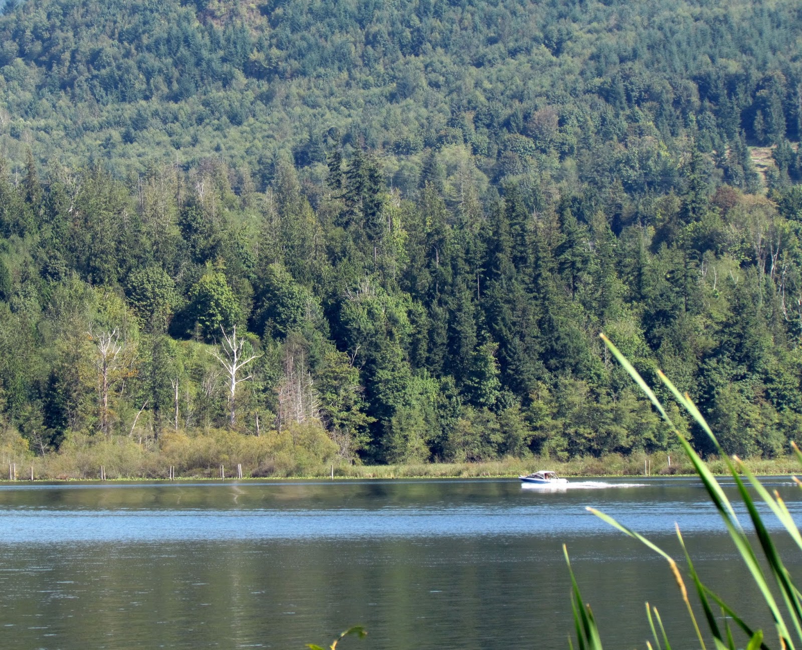Scene Through My Eyes Big Lake, Washington