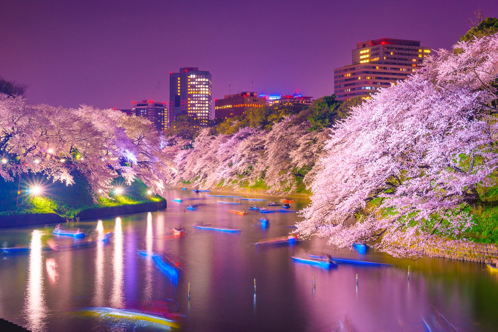 画像の名前