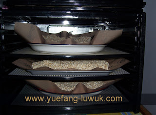 mengeringkan biji jali-jali dengan excalibur dehydrator