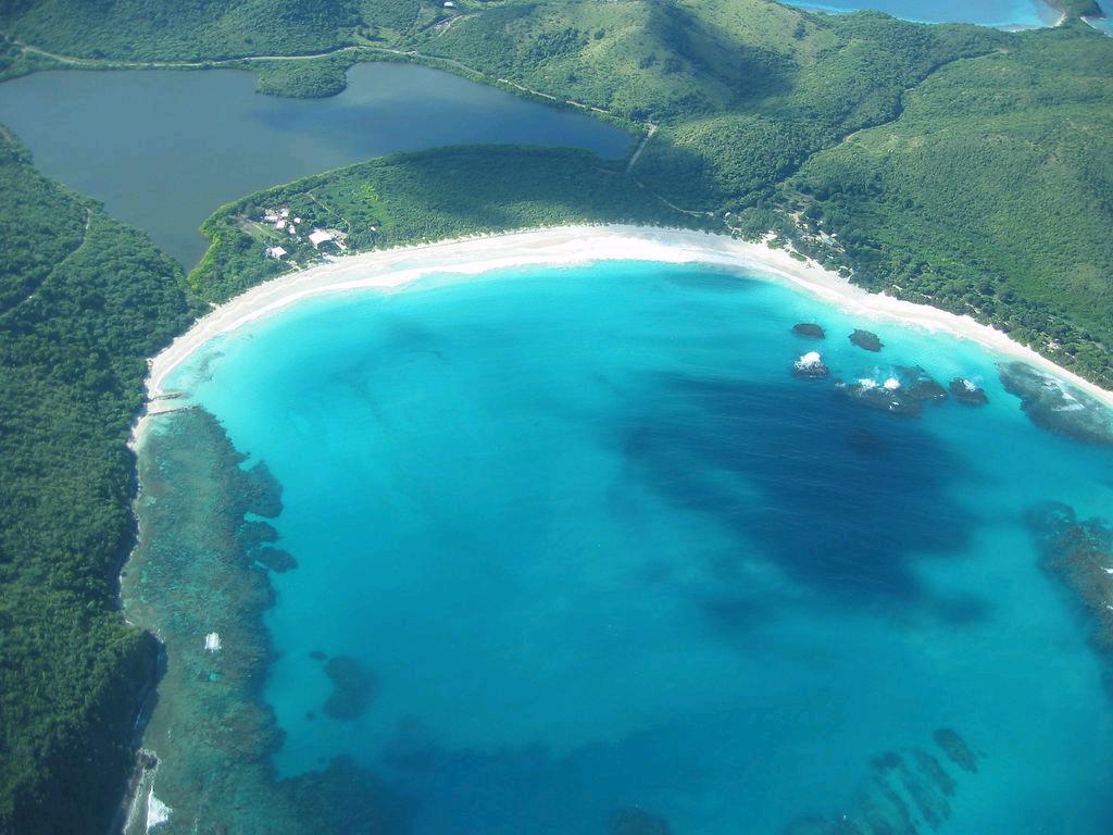 Flamingo Puerto Rico