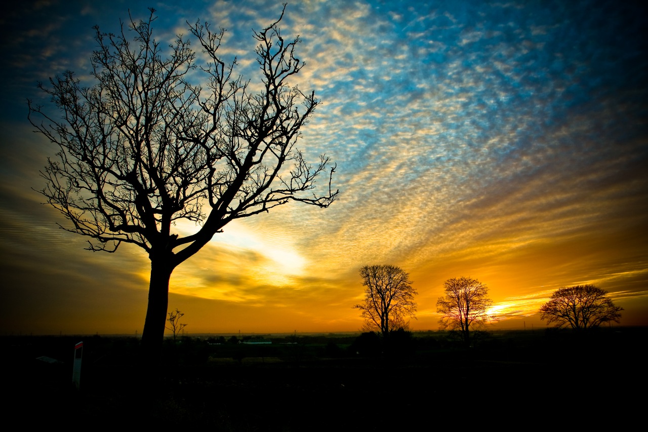 http://4.bp.blogspot.com/-xCjo0bVTGsg/Tk5boTPBlfI/AAAAAAAADiQ/bJ4D0qL1nBA/s1600/nature+wallpaper+desktop2.jpg