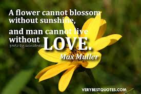 Quotes About Flowers On Amazing Wallpapers Quotes About Flowers On Flower Quote For Roses