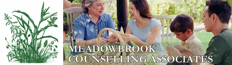 Meadowbrook Counselling Associates