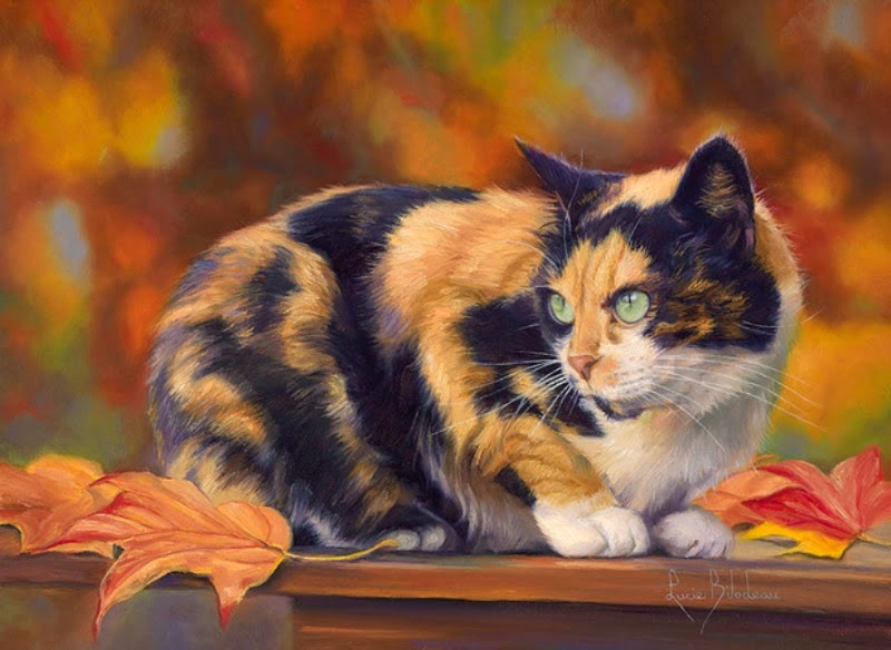 lienzos-de-gatos-pintados-al-oleo pinturas-al-oleo-de-gatos