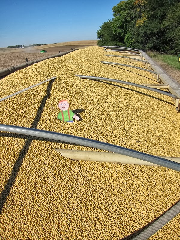 Tales of a Kansas Farm Mom Flat Aggie travels back to Nebraska for