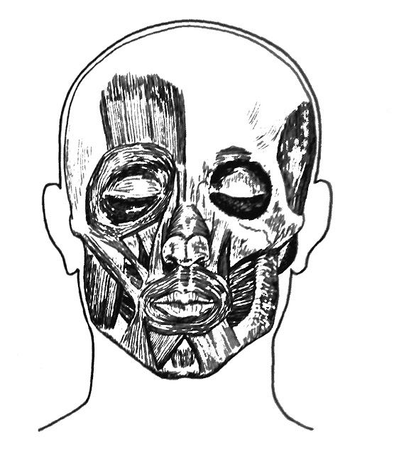 The Oboist Embouchure