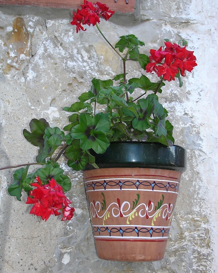 El jardín en macetas: Macetas colgantes