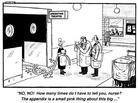 Medical Negligence Specialist Small Dog Medical Negligence Specialist Small Dog