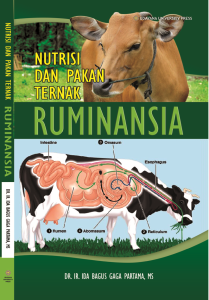 NUTRISI DAN PAKAN TERNAK RUMINANSIA http://ragamcarabeternak.blogspot.com/
