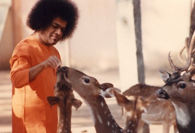 A shower of wisdom from Sri Sathya Sai during Ramadan.