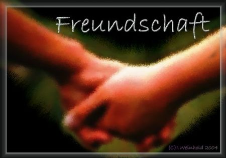 Erwartungen Einer Freundschaft