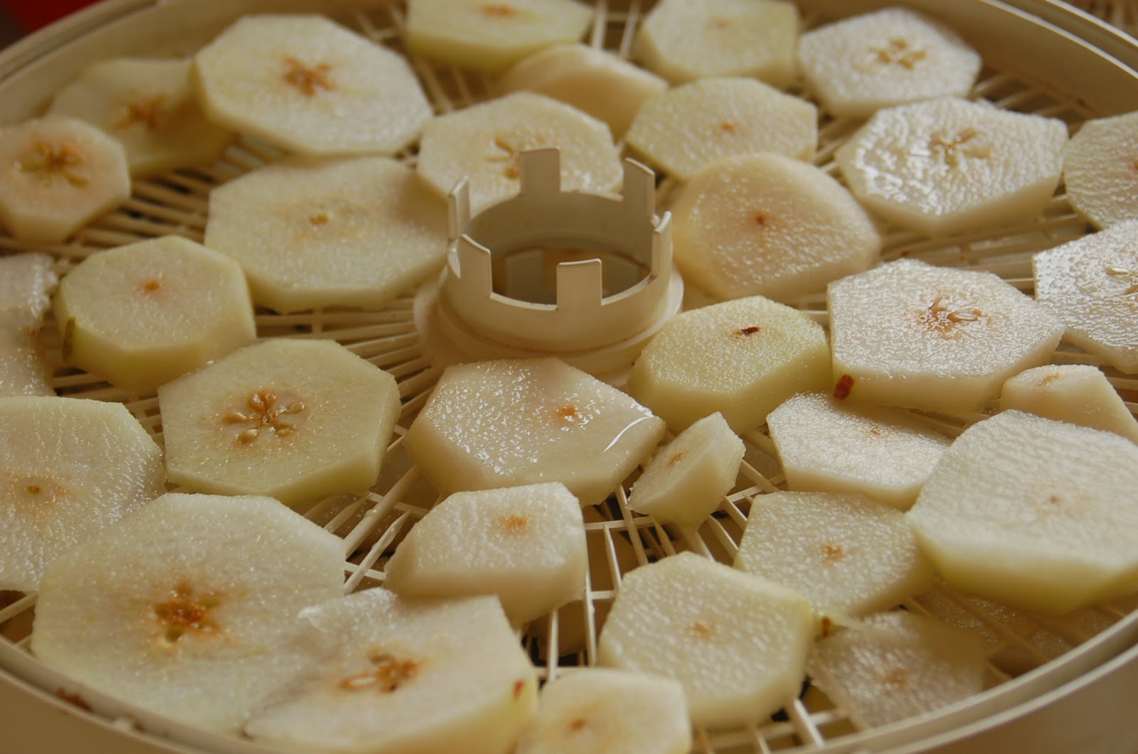 Fairview Farm Dehydrated Pears