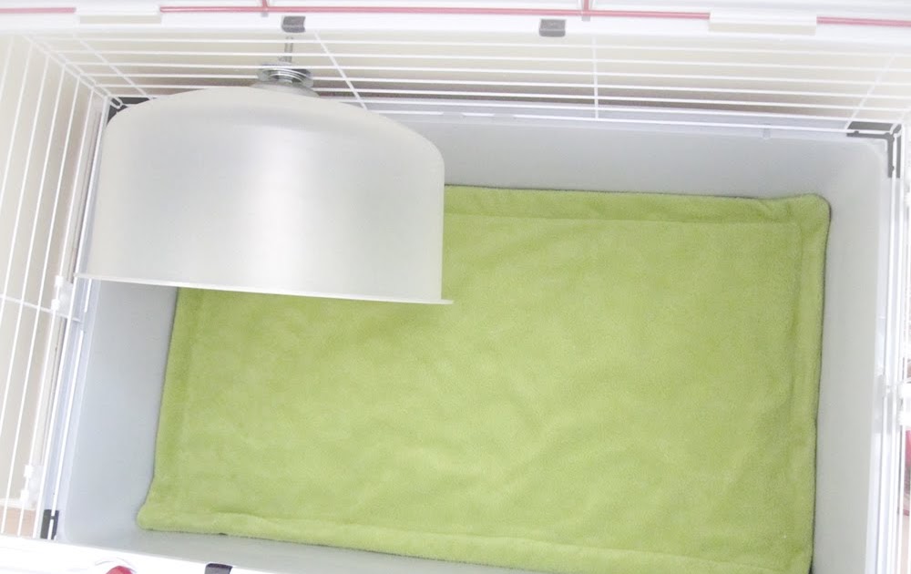 Behind Fleece Cage Liner Tutorial