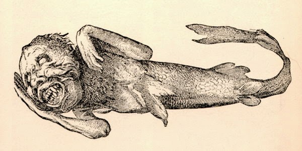 Breast Mermaid Drawings
