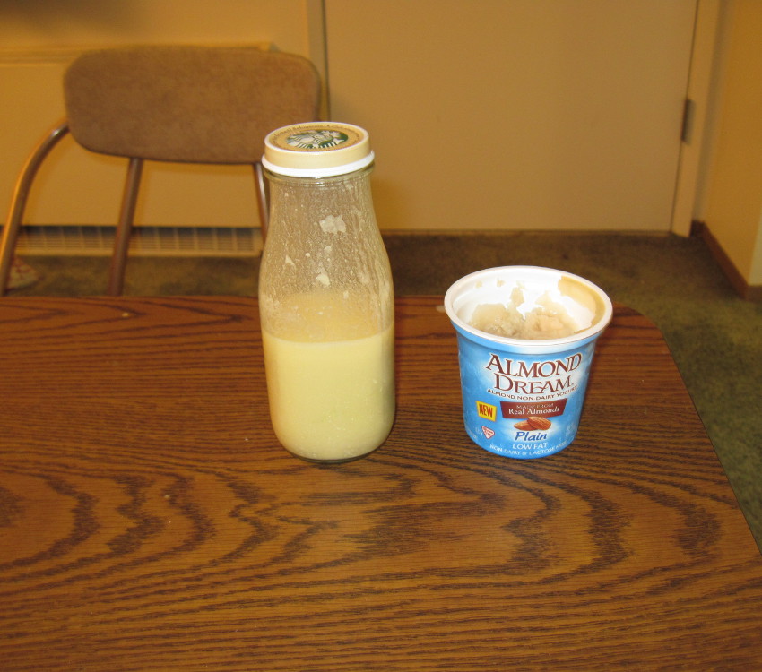 Breath Mints for Penguins Lupin milk and lupin yoghurt