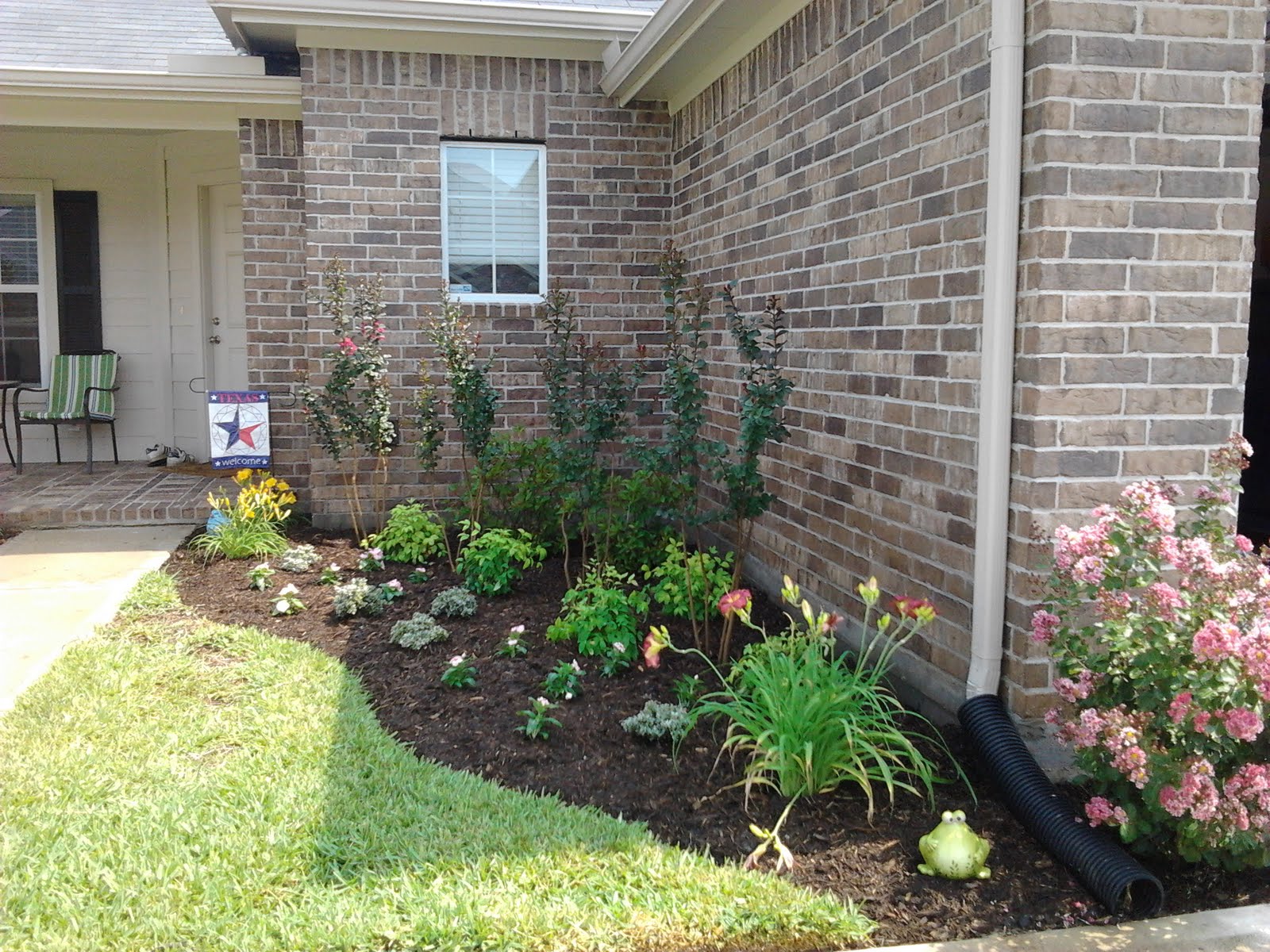 Fancy Meeting You Here: Front Yard- Before & After