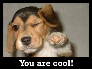 you-are-cool.jpg