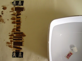 Stained components of a modern dolls' house miniature tea bag box kit laid out to dry, with a bowl of water containing a miniature mug and a decal.