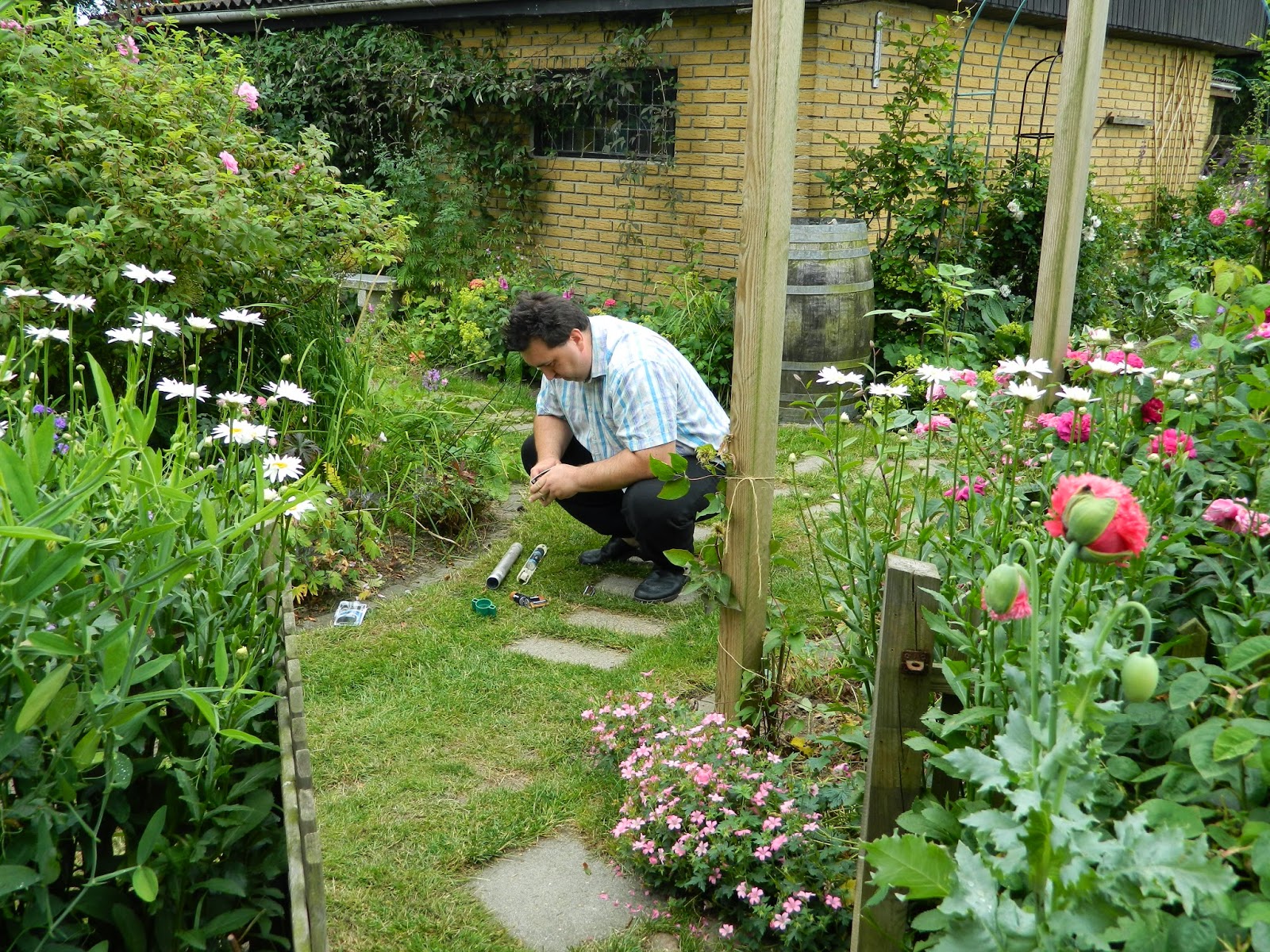 Lad romantikken blomstre: min sommerhave i fuldt flor