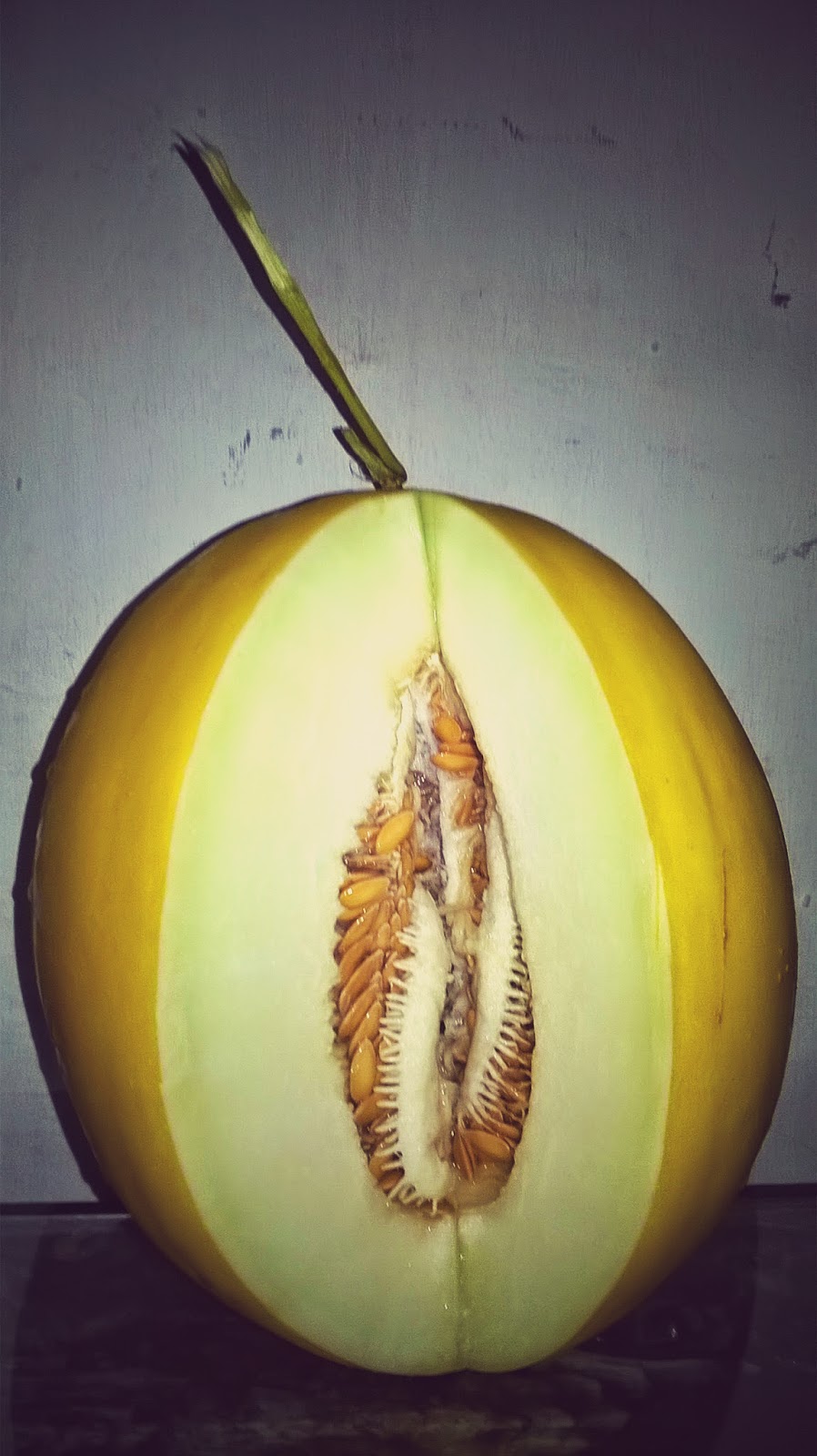 Khasiat Buah Melon Golden Padat Informasi