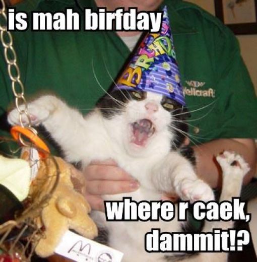 ஹெப்பி பேத்டே பூனை Cat_birthday_parties_07