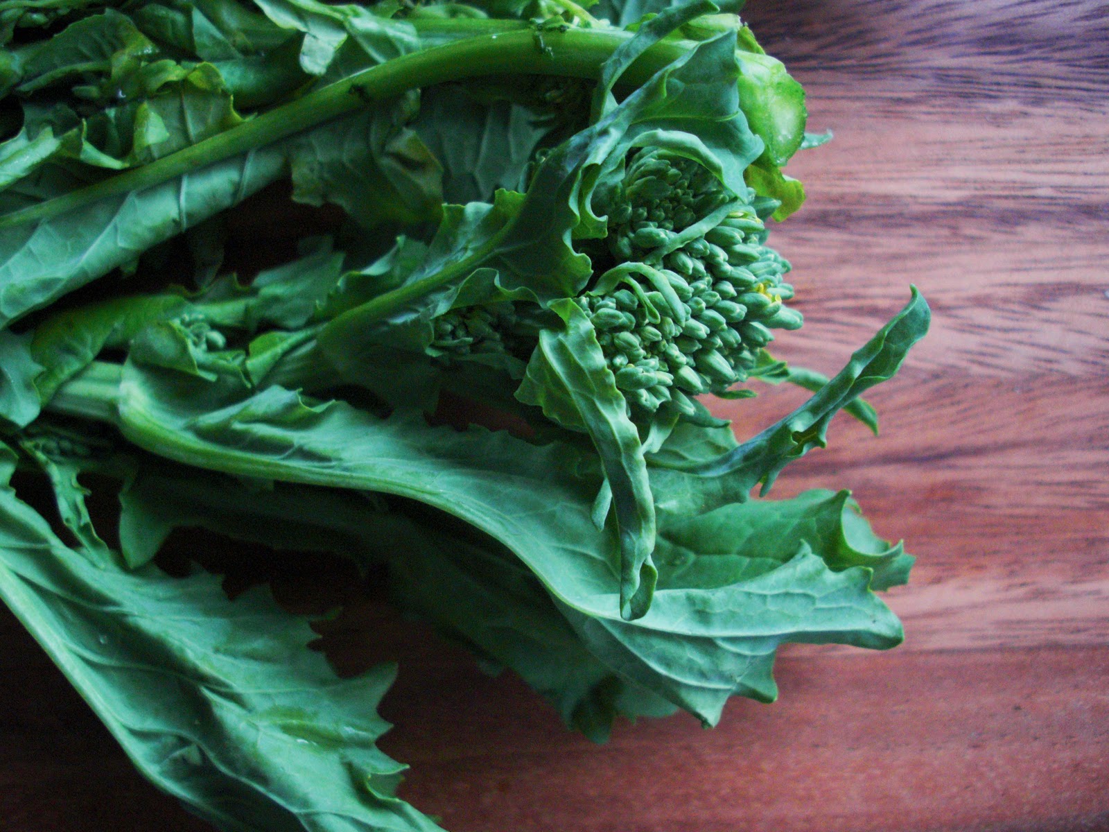 Nourish The Roots Southern Italian Broccoli Rabe with Wheat Berries