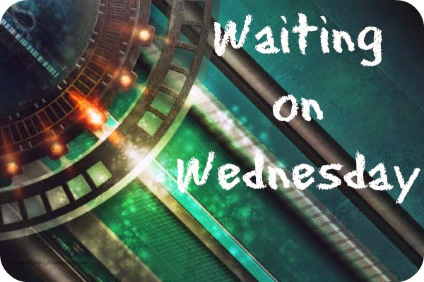 Waiting on Wednesday: Dissonance by Erica O’Rourke