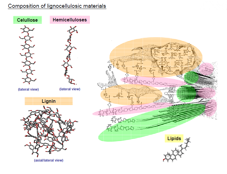 Textile Fiber, Yarn Spinning, Woven and Knit Fabric, Dyeing, Garments