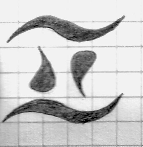 Choisir calligraphie pour la tatouage